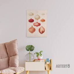 "Artery8 Onions Vintage Kitchen Ernst Benary Canvas Wall Art Print in White - Size: W18"" x H24""" - thumbnail 3