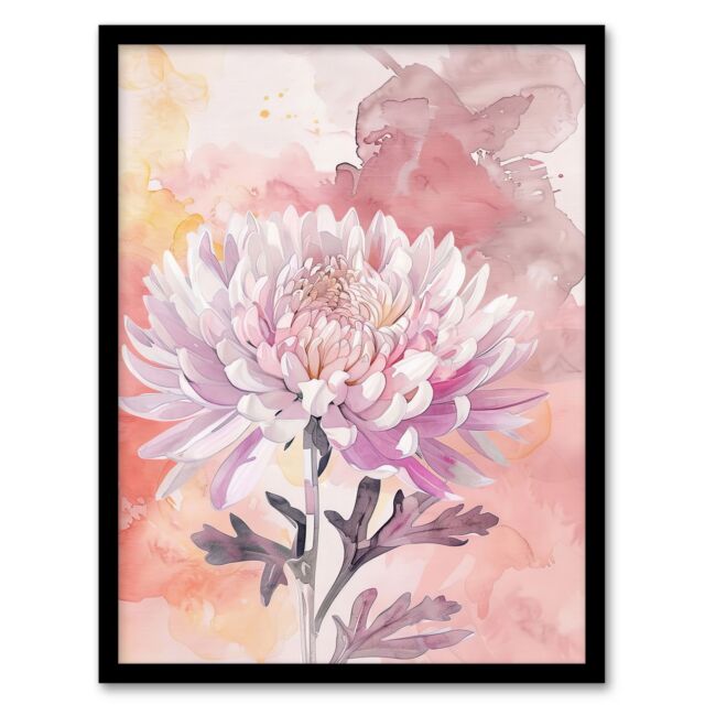 "Artery8 Chrysanthemum Flower Watercolour Pastel Soft Framed Art Print in Pink - Size: W12"" x H16""" - image 1