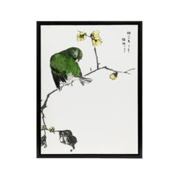 "Artery8 Fairy Pitta & Japanese Allspice Framed Canvas Wall Art Print Kashu - Size: W12"" x H16""" - thumbnail 1