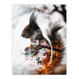 "Artery8 Wall Art Print Squirrel Lover Autumn Photo Woodland Animal Poster in Grey - Size: W18"" x H24""" - thumbnail 1