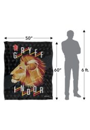 Harry Potter Blanket, 152x127 cm Neo Industries Gryffindor Silky Touch Super Soft Throw Blanket in White - thumbnail 5