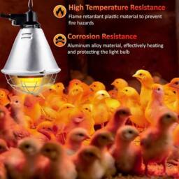 Kelvenix Infrared Heat Lamp Animals With 250W Bulb in Silver - thumbnail 5