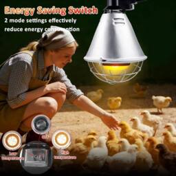 Kelvenix Infrared Heat Lamp Animals With 250W Bulb in Silver - thumbnail 2