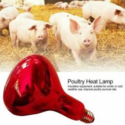 Kelvenix Infrared Heat Lamp Animals With 250W Bulb in Silver - thumbnail 4