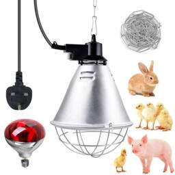 Kelvenix Infrared Heat Lamp Animals With 250W Bulb in Silver