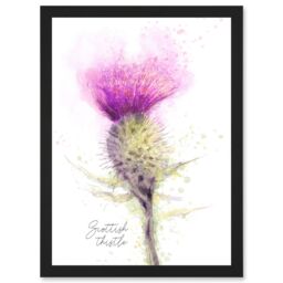 Artery8 Scottish Thistle Flower Head Watercolour Scotland A4 Artwork Framed Wall Art Print in Black - thumbnail 1