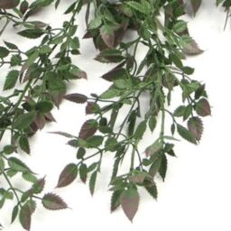Leaf Artificial Hanging Trailing Plant UV Fire Resistant Angel Plant 76cm Pack of 6 in Green - thumbnail 4