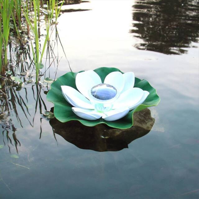Quipulse Solar-powered Lotus Flower Pond Lights in White - image 1
