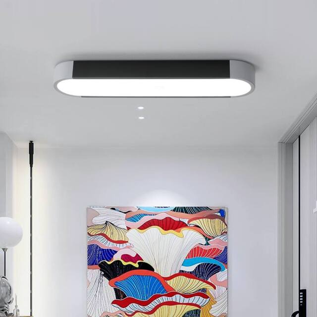 NIVOR 50cm Simple Rectangle Acrylic LED Flush Mount Ceiling Cool Light in Black - image 1