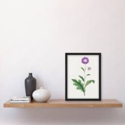 Artery8 Vintage Japan Botanical Framed Wall Art Print Thistle Flower in Purple - Size: A4 - thumbnail 2
