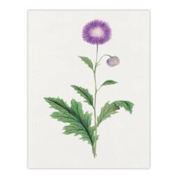 Artery8 Vintage Japan Botanical Framed Wall Art Print Thistle Flower in Purple - Size: A4 - thumbnail 3