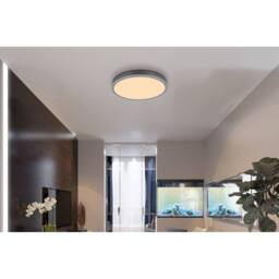 Netlighting Doro 45cm Flush Ceiling Light Silver Colored LED 3000K - thumbnail 5