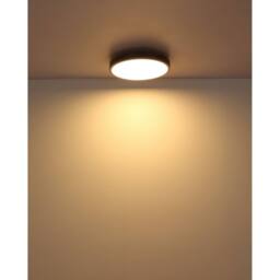 Netlighting Doro 45cm Flush Ceiling Light Silver Colored LED 3000K - thumbnail 4