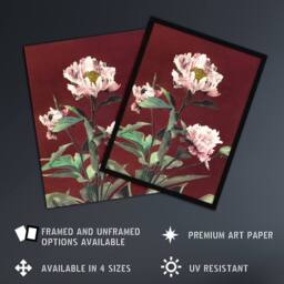 Artery8 Pink Herbaceous Peony Flower Japan Framed Wall Art Print Ogawa Kazumasa in Red - Size: A4 - thumbnail 2