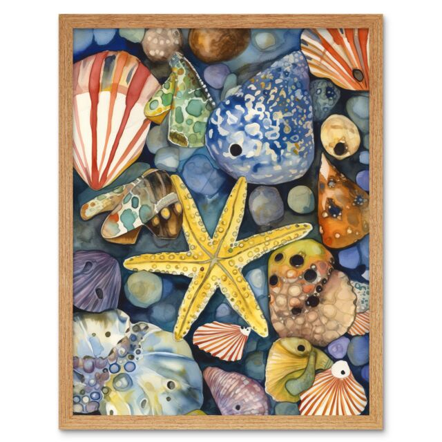 "Artery8 Wall Art Print The Rock Pool Seaside Clams Starfish Bathroom Art Framed in Light Oak - Size: W12"" x H16""" - image 1