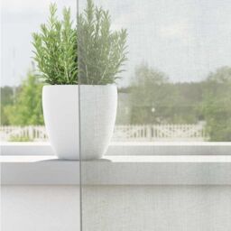 Berkfield Home Voile Curtains with Grommets 2 pcs Light Grey 140x140 cm - thumbnail 3
