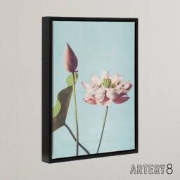 "Artery8 Pink Lotus Flower Blooms Framed Canvas Wall Art Print Ogawa Kazumasa in Blue - Size: W12"" x H16""" - thumbnail 2