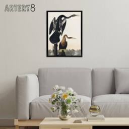 "Artery8 Black Bellied Darter Bird Audubon Nature Black Framed Canvas Wall Art in White - Size: W12"" x H16""" - thumbnail 3