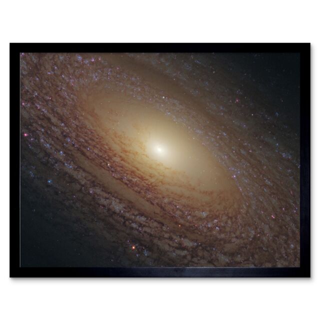Artery8 Hubble Space Telescope Image Spiral Galaxy NGC 2841 Blue Pink Emission Nebula Starbirth Region & A Majestic Disk Of Stars & Dust Lanes Art