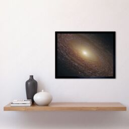 Artery8 Hubble Space Telescope Image Spiral Galaxy NGC 2841 Blue Pink Emission Nebula Starbirth Region & A Majestic Disk Of Stars & Dust Lanes Art - thumbnail 2