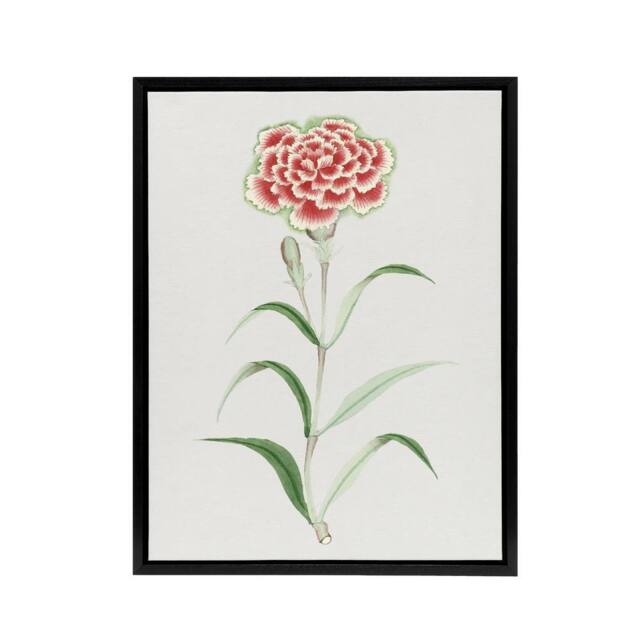 "Artery8 Carnation Flower Framed Canvas Wall Art Print Vintage Japanese Botanical in Blue - Size: W12"" x H16""" - image 1