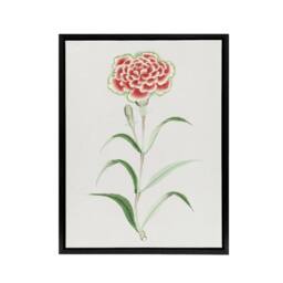 "Artery8 Carnation Flower Framed Canvas Wall Art Print Vintage Japanese Botanical in Blue - Size: W12"" x H16""" - thumbnail 1