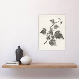 "Artery8 Vintage Botanical Marginata Ivy Hibberd Wall Art Poster Print in White - Size: W18"" x H24""" - thumbnail 4
