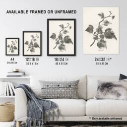 "Artery8 Vintage Botanical Marginata Ivy Hibberd Wall Art Poster Print in White - Size: W18"" x H24""" - thumbnail 3