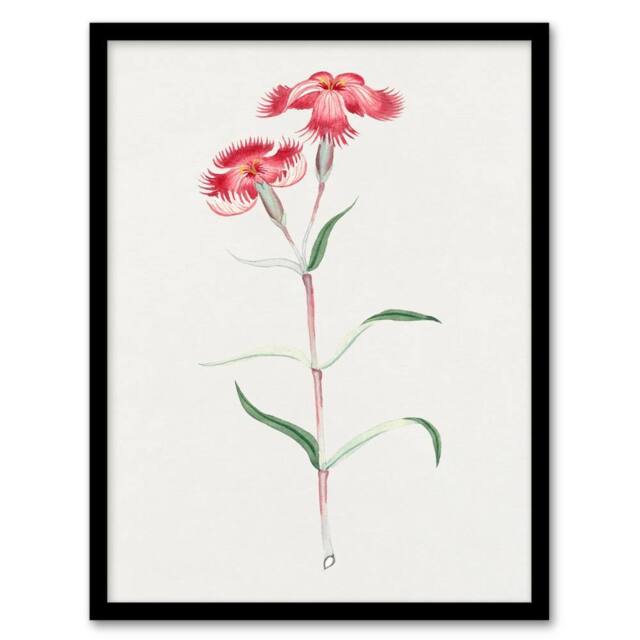 Artery8 Vintage Japan Botanical Framed Wall Art Print Nadeshiko Flower in Blue - Size: A4 - image 1