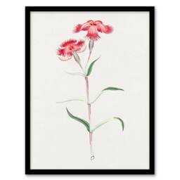 Artery8 Vintage Japan Botanical Framed Wall Art Print Nadeshiko Flower in Blue - Size: A4 - thumbnail 1