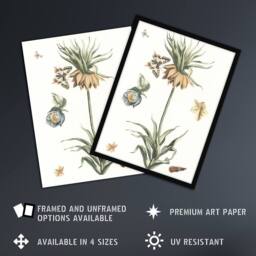 Artery8 Keizerskroon Tulip & Butterfly Teyler Framed Wall Art Print in White - Size: A4 - thumbnail 2