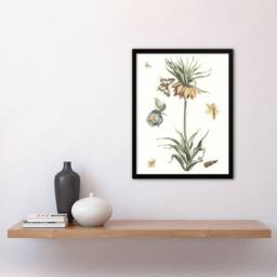 Artery8 Keizerskroon Tulip & Butterfly Teyler Framed Wall Art Print in White - Size: A4 - thumbnail 4