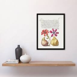 Artery8 Poppy Anemone Fig & Quince Calligraphy Framed Wall Art Print in White - Size: A4 - thumbnail 4