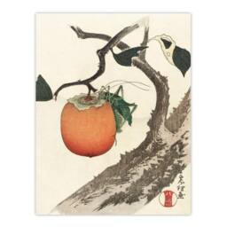 Artery8 Katsushika Hokusai Framed Wall Art Persimmon Fruit With Grasshopper in Orange - Size: A4 - thumbnail 3