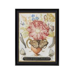 "Artery8 Flowers Snail Insects & Butterflies Hoefnagel Framed Canvas Wall Art - Size: W24"" x H32""" - thumbnail 1