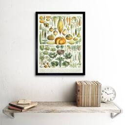 "Artery8 Millot Encyclopedia Page Legumes Vegetables 12x16"" Framed Art Print - Size: W12"" x H16""" - thumbnail 2
