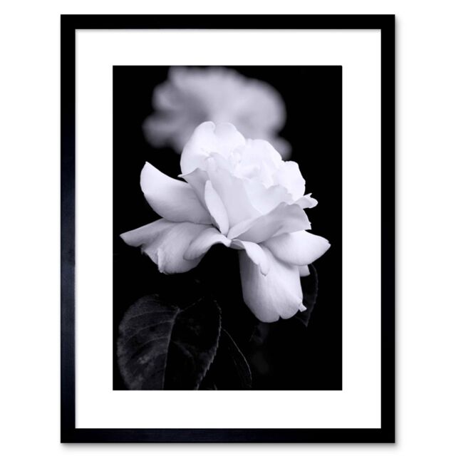 "Artery8 Wall Art Print Photo Nature Black White Rose Petal Flower Artwork Framed 9X7 Inch - Size: W7"" x H9""" - image 1