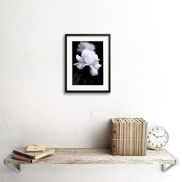 "Artery8 Wall Art Print Photo Nature Black White Rose Petal Flower Artwork Framed 9X7 Inch - Size: W7"" x H9""" - thumbnail 2