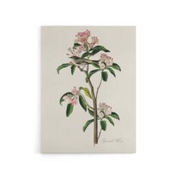 "Artery8 Cuviers Kinglet Bird & Mountain Laurel Audubon Canvas Wall Art in White - Size: W18"" x H24""" - thumbnail 1