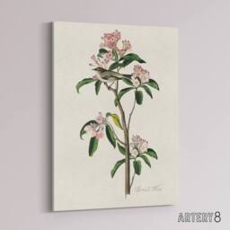 "Artery8 Cuviers Kinglet Bird & Mountain Laurel Audubon Canvas Wall Art in White - Size: W18"" x H24""" - thumbnail 2