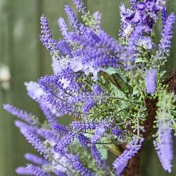 Dibor Luxury Lavender Summer Door Wreath, Spring Wreath 50cm - thumbnail 4