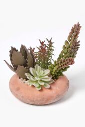 Homescapes Artificial Succulent Arrangement in Decorative Round Terracotta Pot in Green