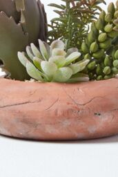 Homescapes Artificial Succulent Arrangement in Decorative Round Terracotta Pot in Green - thumbnail 4