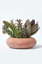 Homescapes Artificial Succulent Arrangement in Decorative Round Terracotta Pot in Green - thumbnail 6