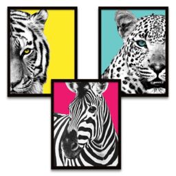 "Wee Blue Coo Wall Art Print Tiger Zebra Leopard Animals Close Up Colourful Black Framed Poster Pack of 3 - Size: W12"" x H16""" - thumbnail 2