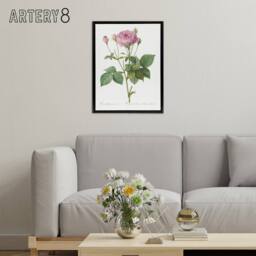 "Artery8 Gallic Rose Flower Illustration Redoute Vintage Framed Canvas Wall Art in White - Size: W12"" x H16""" - thumbnail 3