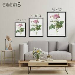 "Artery8 Gallic Rose Flower Illustration Redoute Vintage Framed Canvas Wall Art in White - Size: W12"" x H16""" - thumbnail 4