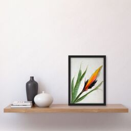 Artery8 Bird of Paradise Tropical Plant Flower & Leaves Illustration on White Artwork Framed Wall Art Print A4 in Black - thumbnail 2