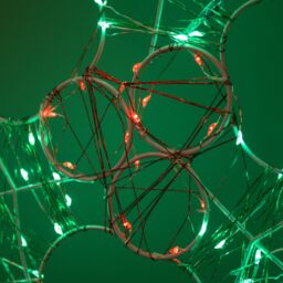 Samuel Alexander Christmas Holly & Berries Dewdrop Silhouette with Twinkling LEDs in Green - thumbnail 6
