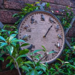 mysmartbuy Wild Birds Design Indoor or Outdoor Clock - Battery Powered Weather Resistant Wall Fence Clock for Home or Garden - 30cm Diameter in Brown - thumbnail 3